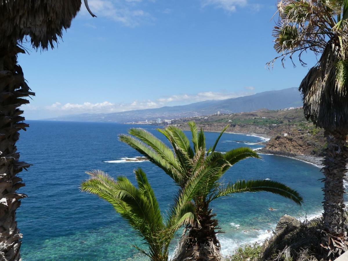 Finca San Antonio 로스 레알레호스 외부 사진